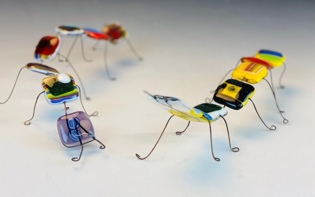 Glass Centipede Summer Workshop (7A1GF)