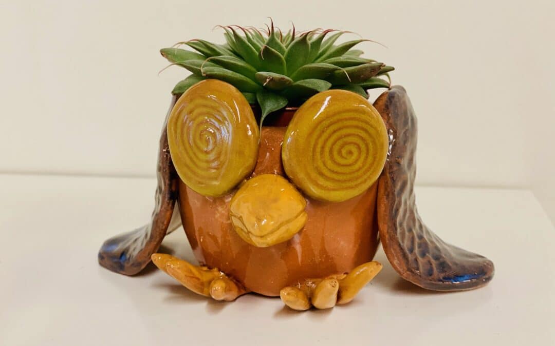 What a Hoot Planter! Summer Workshop (8P1M)